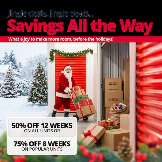 Sentinel Storage - Langley Promotion